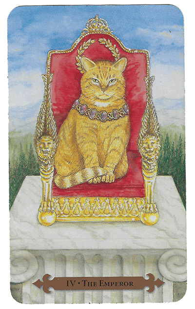 gatos-el-emperador