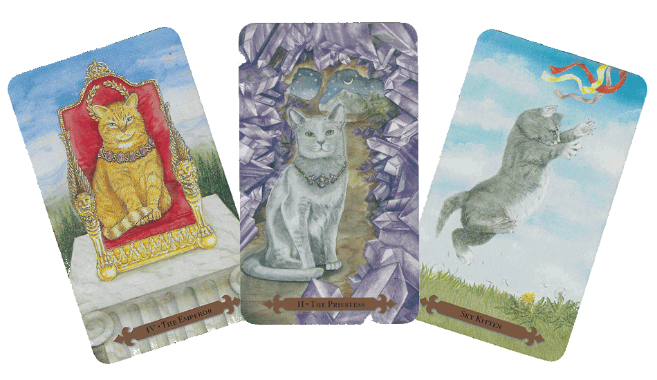 tarot-de-gatos